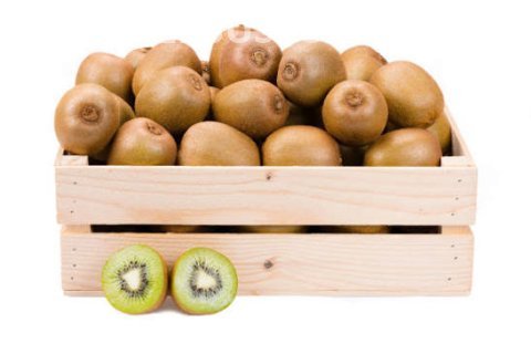 KIWI 3