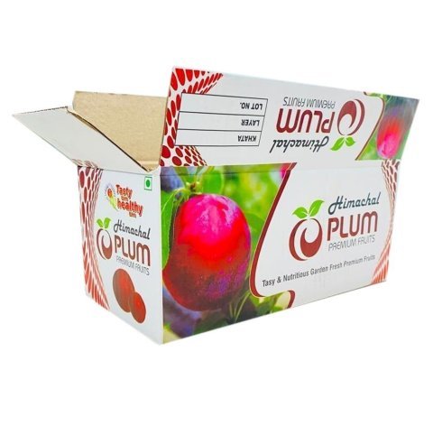 Plum fruit
